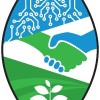 AIIRA Logo